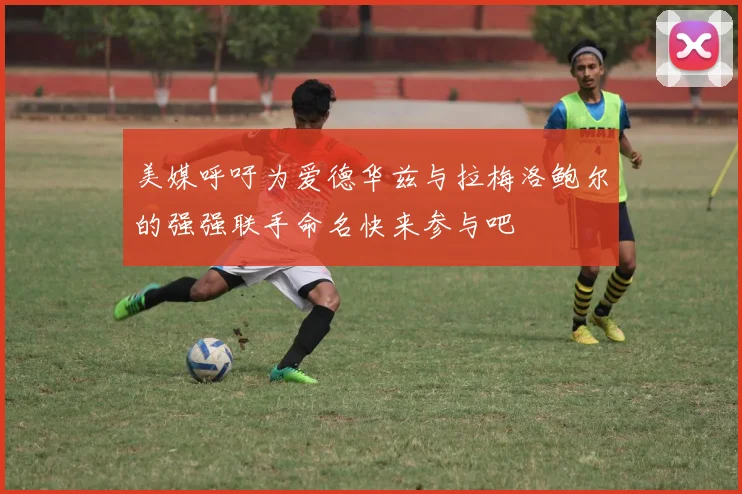 美媒呼吁为爱德华兹与拉梅洛鲍尔的强强联手命名快来参与吧